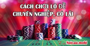 Cách chơi lô đề chuyên nghiệp lâu dài